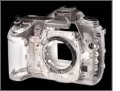 ����鿴